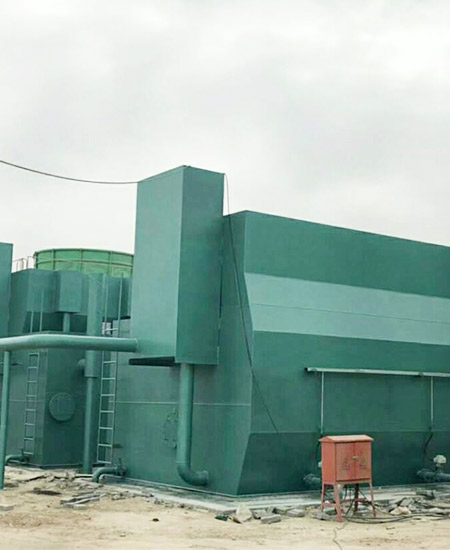 1609139169177515.jpg 2.jpg